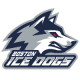 Boston Ice Dogs 14U AAA
