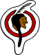 Toronto Tecumsehs