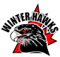Cambridge Winter Hawks