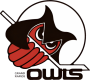 Grand Rapids Owls