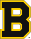 Boston Bruins
