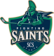 SCS Fighting Saints