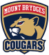 Mount Brydges Cougars U16 A