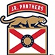 Florida Jr. Panthers 14U A 2