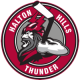 Halton Hills Thunder U16 AA