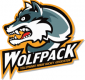 Yellowknife Wolfpack U18 A1