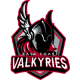 East Coast Valkyries 19U