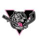 Centre-du-Québec Tigres M15 AA (W)