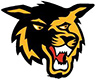 Pines Golden Wolves 14U A 2