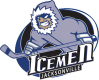 Jacksonville IceMen