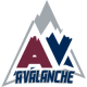 Aliso Viejo Avalanche 14U A