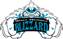West Michigan Blizzard
