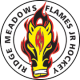 Ridge Meadows Flames