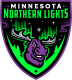 Minnesota Northern Lights
