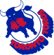 Toronto Toros