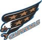 Washington Capitals