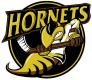 Cambridge Hornets