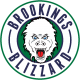 Brookings Blizzard