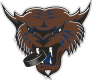 Thunder Bay Thunder Cats