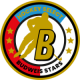 Budweis Stars U14