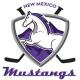 New Mexico Mustangs 19U AA (W)