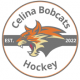 Celina Bobcats