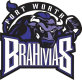 Fort Worth Brahmas