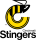 Cincinnati Stingers