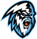 Winnipeg Ice