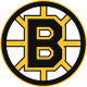 Boston Bruins
