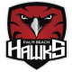 Palm Beach Hawks 14U A