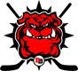 Brewster Bulldogs