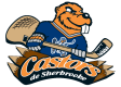 Sherbrooke Castors
