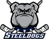 Sheffield Steeldogs