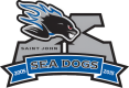 Saint John Sea Dogs