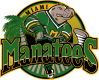 Miami Manatees