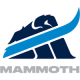 Chicago Mammoth 14U AA