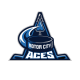 Motor City Aces 16U AAA