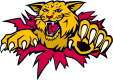 Moncton Wildcats