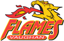 Vaughan Flames