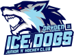 Dryden Ice Dogs