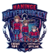 Haninge Nätverkshockey
