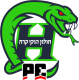 puckempire Holon Vipers