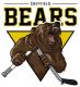 Sheffield Bears