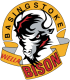 Basingstoke Bison