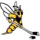 Crystal Lake Yellowjackets 16U AA