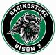 Basingstoke Bison 2