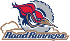 Edmonton Road Runners