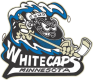 Minnesota Whitecaps