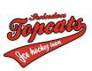Swindon TopCats
